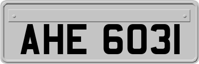 AHE6031