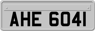 AHE6041