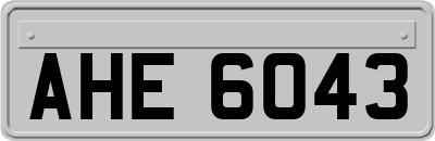 AHE6043
