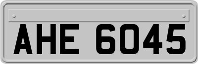 AHE6045