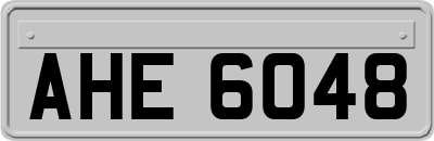 AHE6048