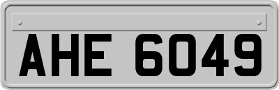 AHE6049