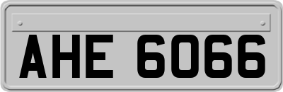 AHE6066