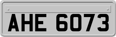 AHE6073