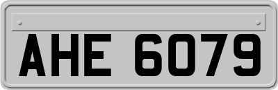 AHE6079