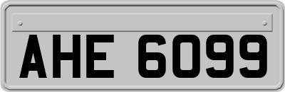 AHE6099