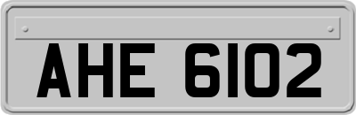 AHE6102