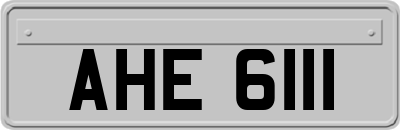 AHE6111