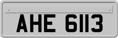 AHE6113