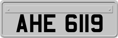 AHE6119