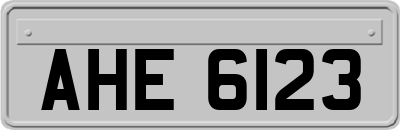 AHE6123