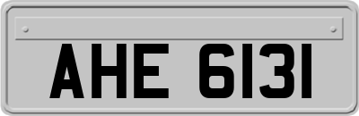 AHE6131