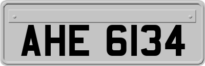 AHE6134