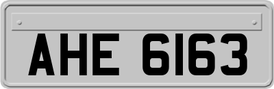 AHE6163
