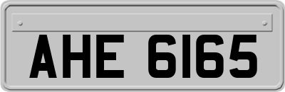 AHE6165