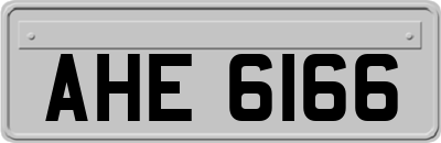 AHE6166