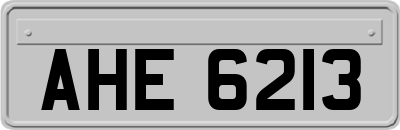 AHE6213