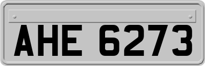 AHE6273
