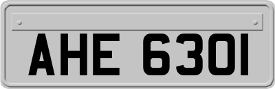 AHE6301