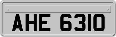 AHE6310