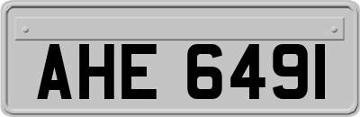 AHE6491