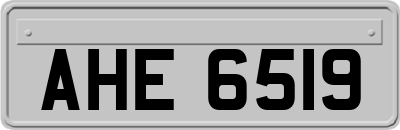 AHE6519