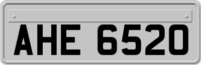 AHE6520