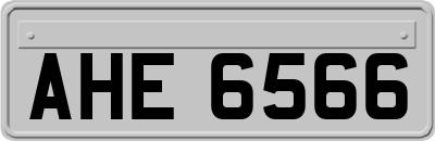 AHE6566