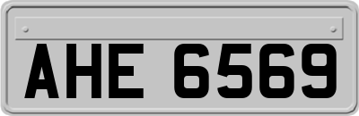 AHE6569