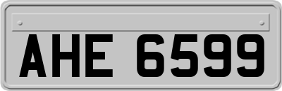 AHE6599