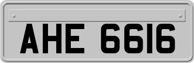AHE6616
