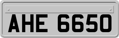 AHE6650