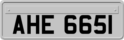 AHE6651