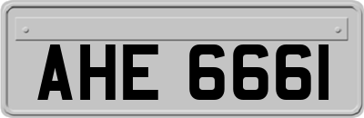 AHE6661