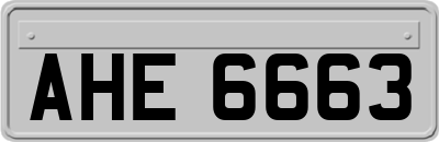 AHE6663