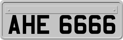 AHE6666