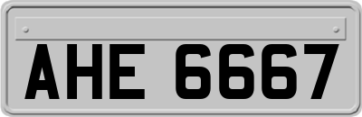 AHE6667