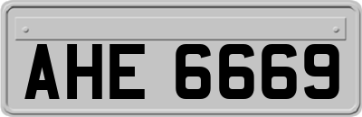 AHE6669