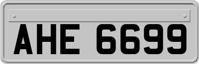 AHE6699