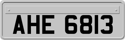 AHE6813