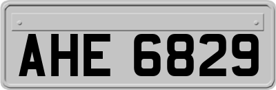 AHE6829