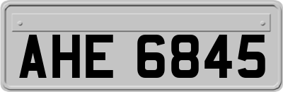AHE6845