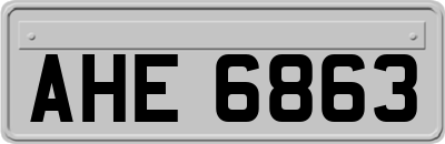 AHE6863