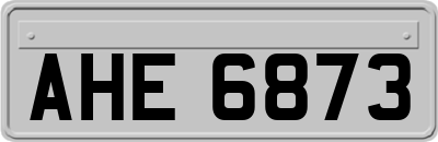 AHE6873