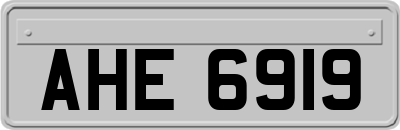AHE6919