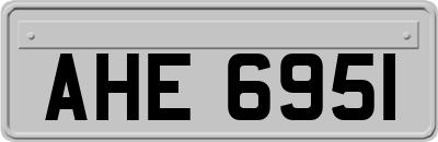 AHE6951