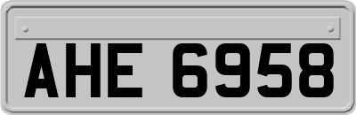 AHE6958