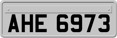 AHE6973