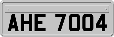 AHE7004