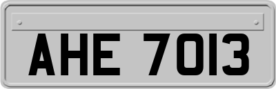 AHE7013